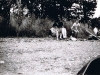 BUDÁČEK 1994