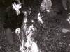 ccf01392010_00056_1