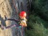 IMG-20231001-WA0005