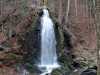 IMG-20211121-WA0018