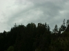 tabor_2007_343
