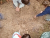 tabor_2007_474